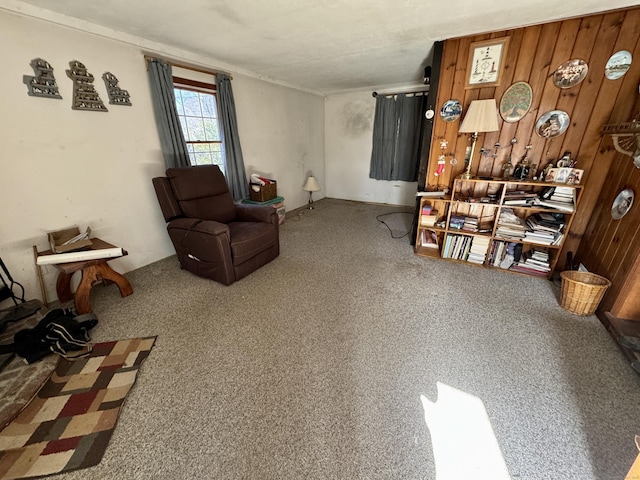 living area featuring carpet