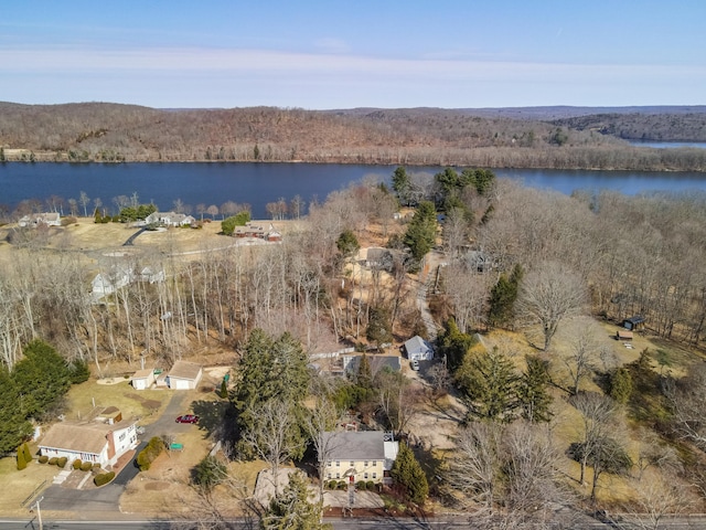 birds eye view of property with a water view and a wooded view