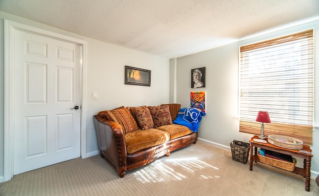 living area with baseboards, carpet, and a textured ceiling