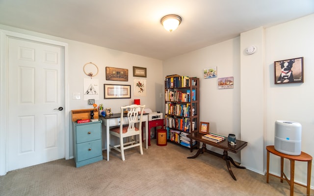 office space featuring light carpet