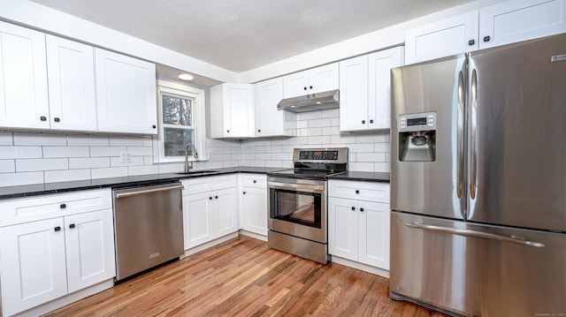 kitchen featuring light wood finished floors, stainless steel appliances, tasteful backsplash, a sink, and under cabinet range hood