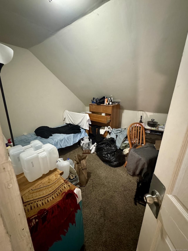 additional living space with vaulted ceiling and carpet