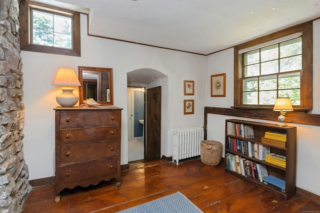 64 Old Kings Hwy S, Darien, CT 06820 - living area featuring radiator heating unit, arched walkways, wood-type flooring, and plenty of natural light