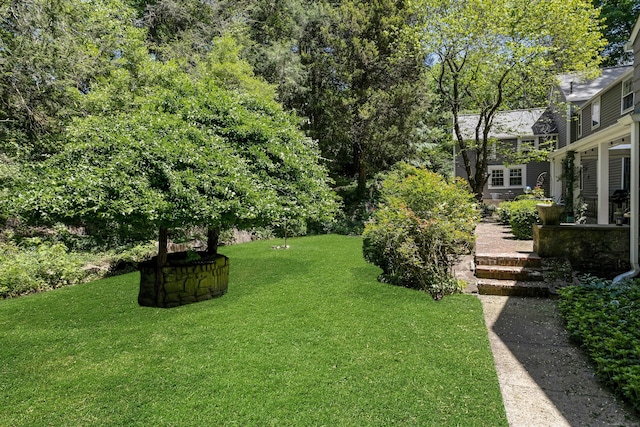 64 Old Kings Hwy S, Darien, CT 06820 - view of green lawn