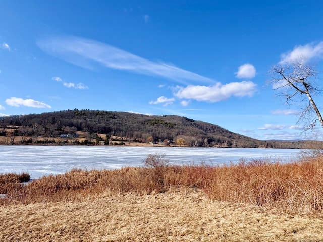 water view featuring a wooded view and a mountain view