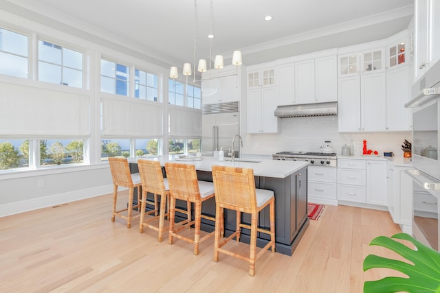 kitchen with light countertops, backsplash, appliances with stainless steel finishes, a sink, and under cabinet range hood