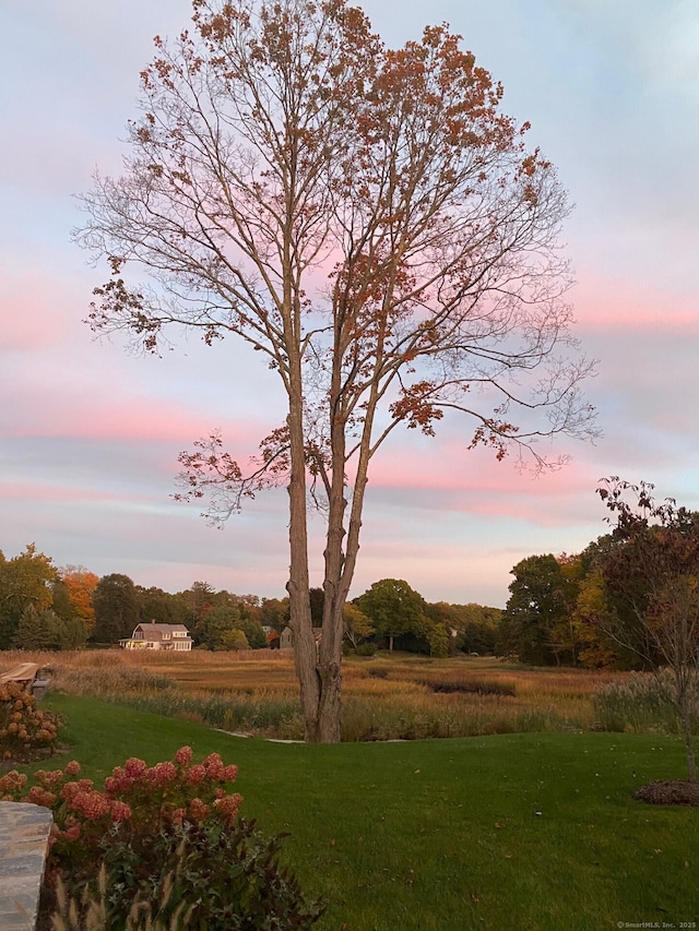 yard at dusk with a rural view