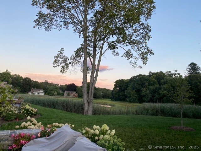 view of yard at dusk