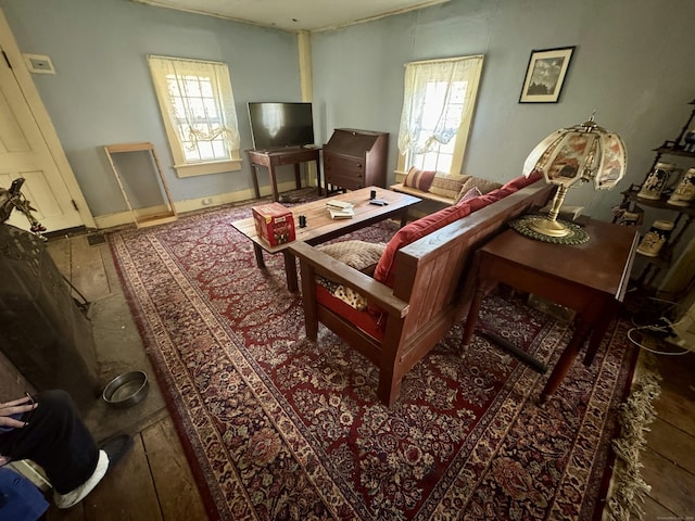 sitting room featuring a wealth of natural light, baseboards, and wood finished floors