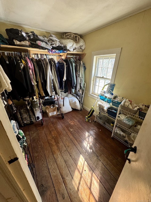 walk in closet with hardwood / wood-style flooring