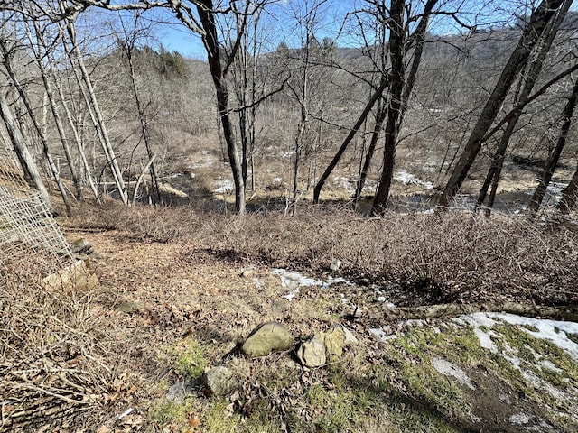 view of landscape