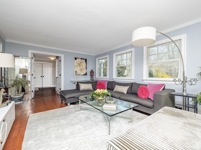 157 N Ave, Westport, CT 06880 - living room featuring ornamental molding and dark wood-style flooring