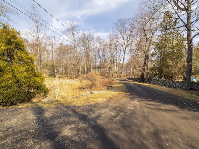 157 N Ave, Westport, CT 06880 - view of street