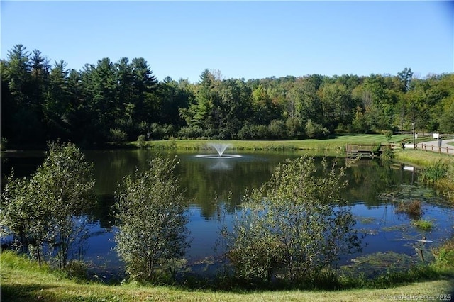 water view featuring a forest view