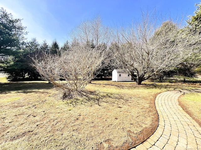 view of yard with an outbuilding and a shed