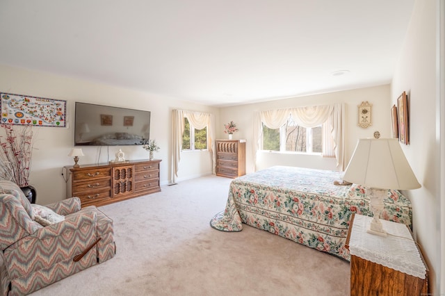 13 Cove Rd, Brookfield, CT 06804 - photo 28