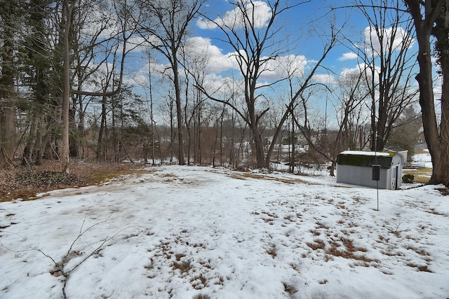 snowy yard with an outbuilding and a storage shed