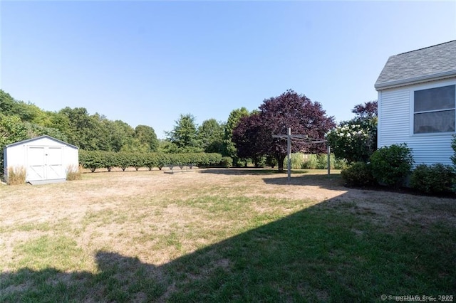 view of yard with a storage shed and an outbuilding