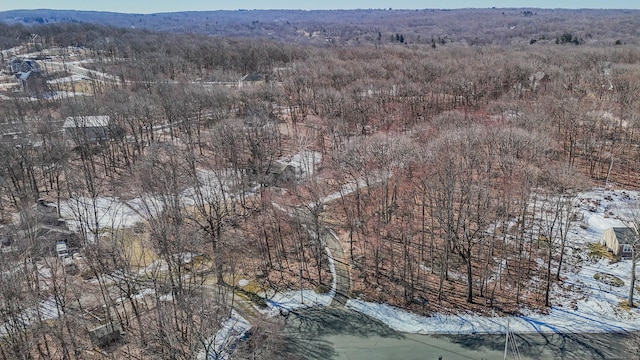 aerial view with a view of trees