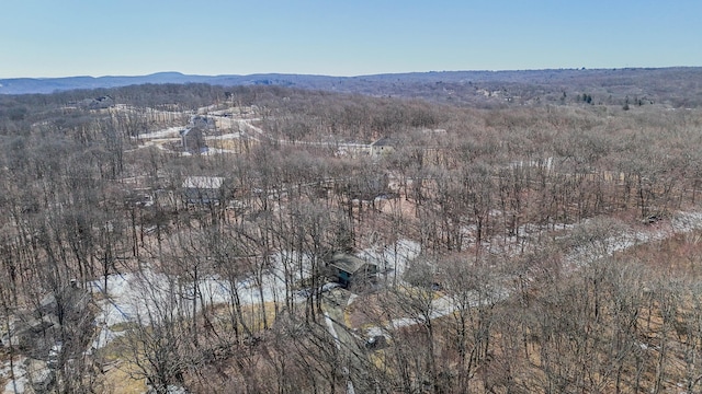 aerial view featuring a forest view and a mountain view