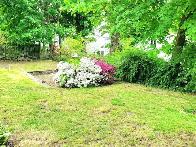 view of yard featuring fence