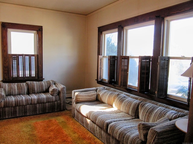 carpeted living room featuring crown molding