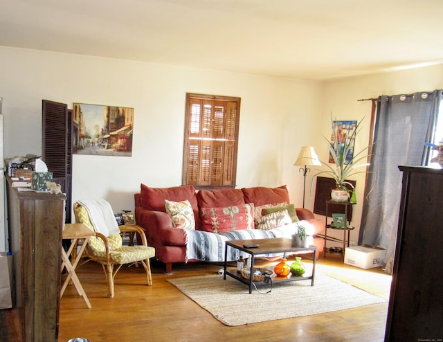 living area with wood finished floors