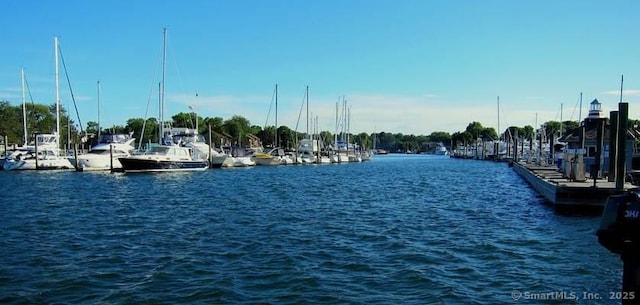 property view of water featuring a dock