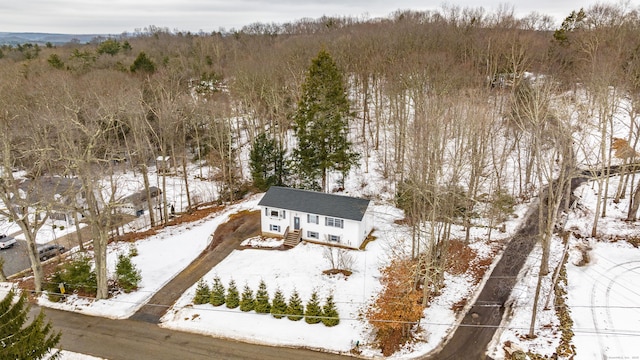 snowy aerial view with a forest view