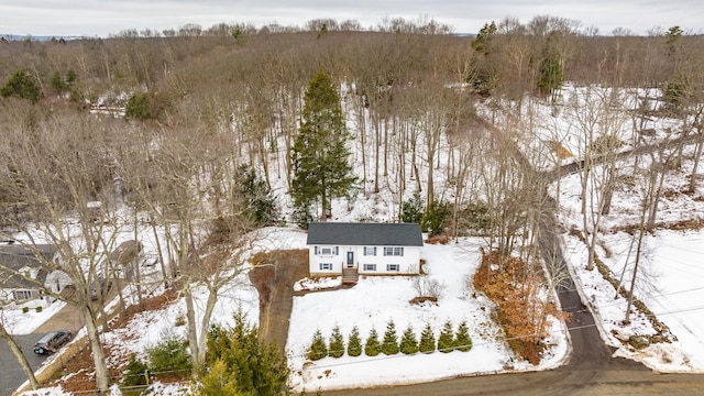 snowy aerial view with a view of trees