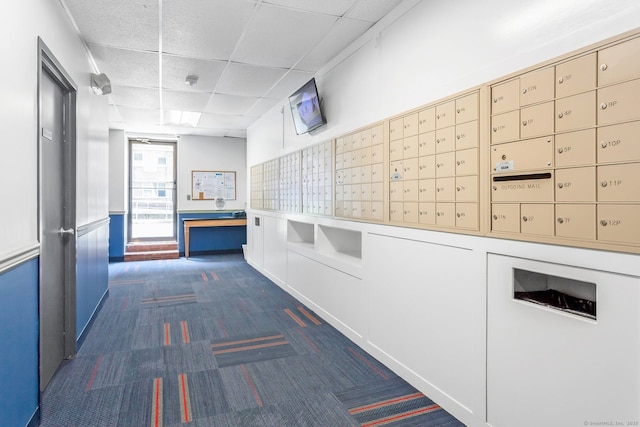 hall with dark colored carpet, a drop ceiling, and mail area