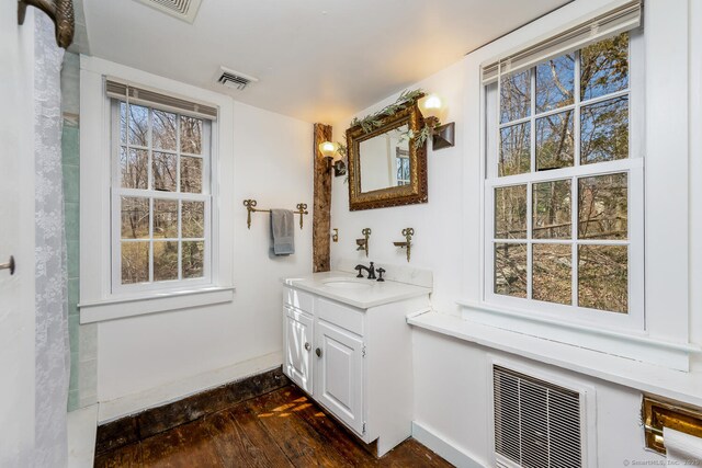175 Mountain Rd, Wilton, CT 06897 - bathroom featuring vanity, plenty of natural light, and wood finished floors