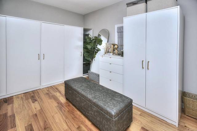 spacious closet featuring light wood-type flooring