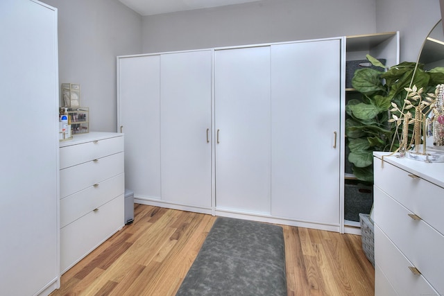 interior space with light wood-type flooring