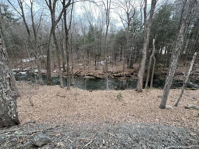 exterior space with a wooded view