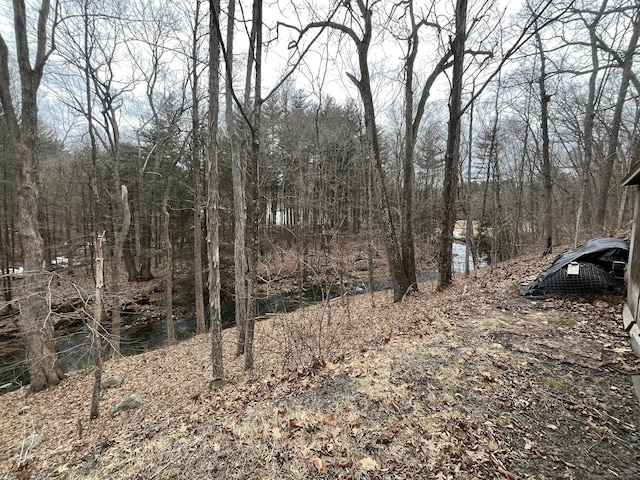 view of local wilderness with a forest view