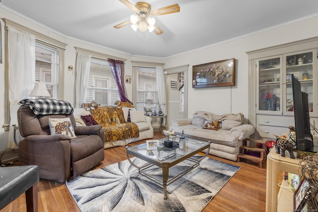 living area featuring ceiling fan, crown molding, and wood finished floors