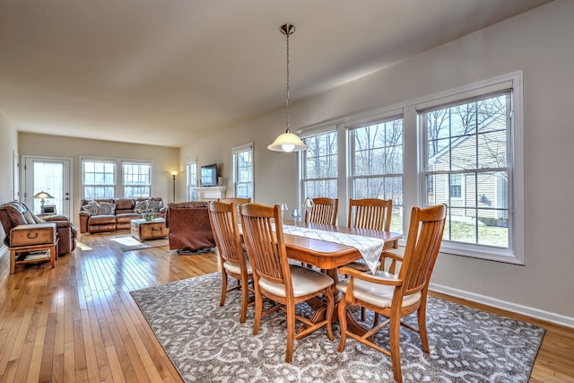 dining room with baseboards and light wood-style floors