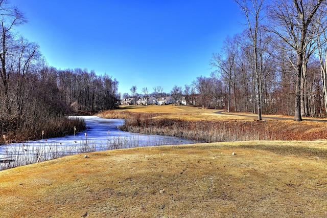 view of yard with a wooded view and a water view