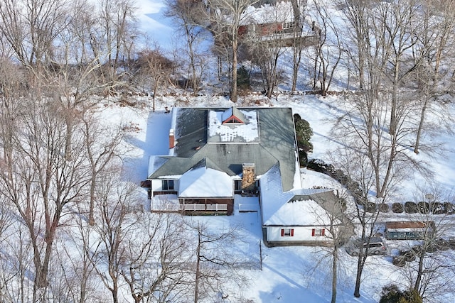 view of snowy aerial view