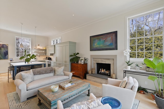 living room with a high end fireplace, light wood-type flooring, and crown molding