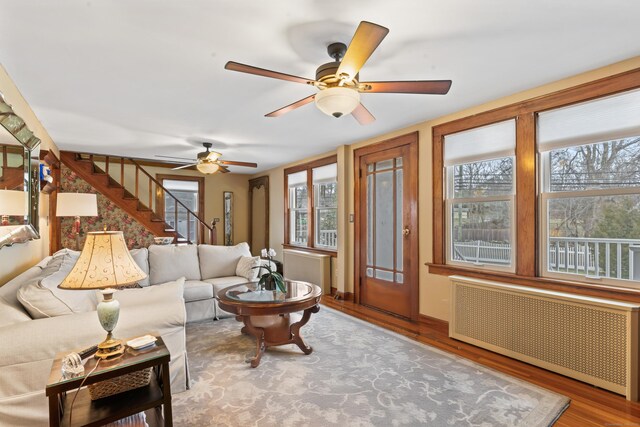 living room featuring radiator, a ceiling fan, stairway, and wood finished floors