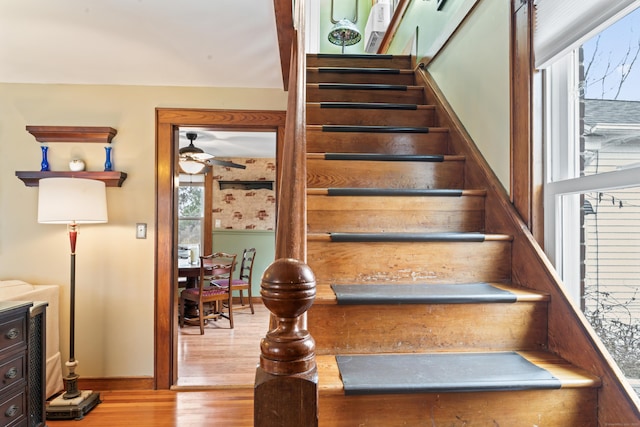 staircase featuring ceiling fan and wood finished floors