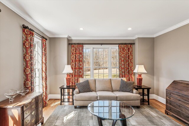 living area featuring baseboards, plenty of natural light, and wood finished floors