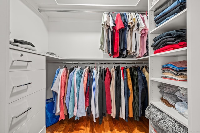 walk in closet featuring wood finished floors