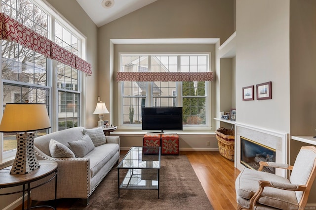 living room featuring a wealth of natural light, a premium fireplace, high vaulted ceiling, and wood finished floors