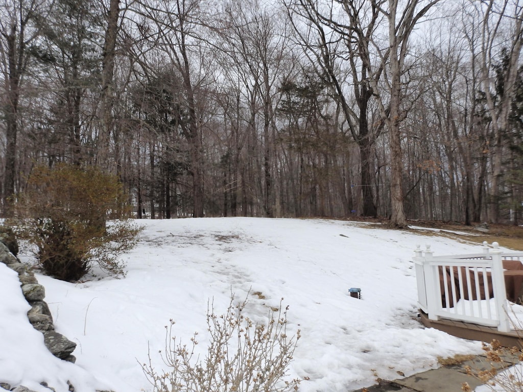 view of yard layered in snow