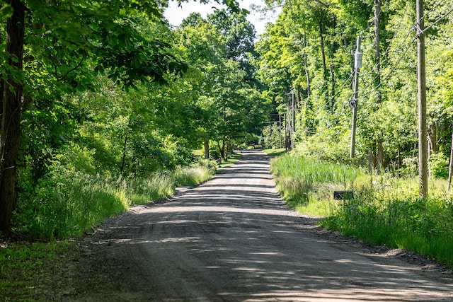 view of road with a forest view