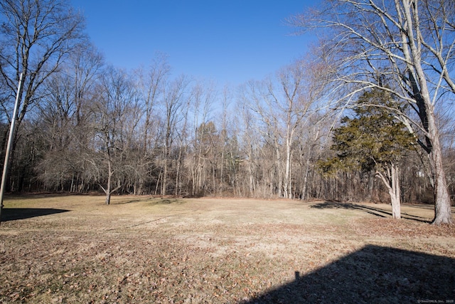 view of yard featuring a forest view