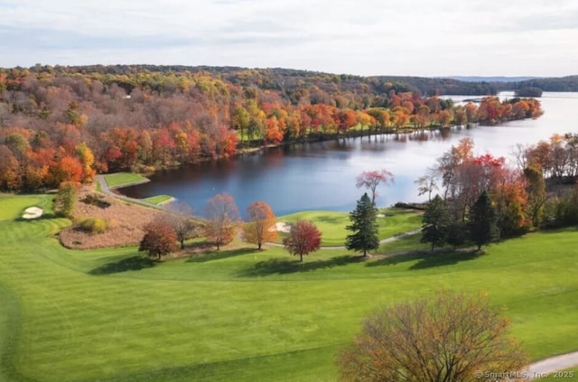 birds eye view of property with a forest view and a water view